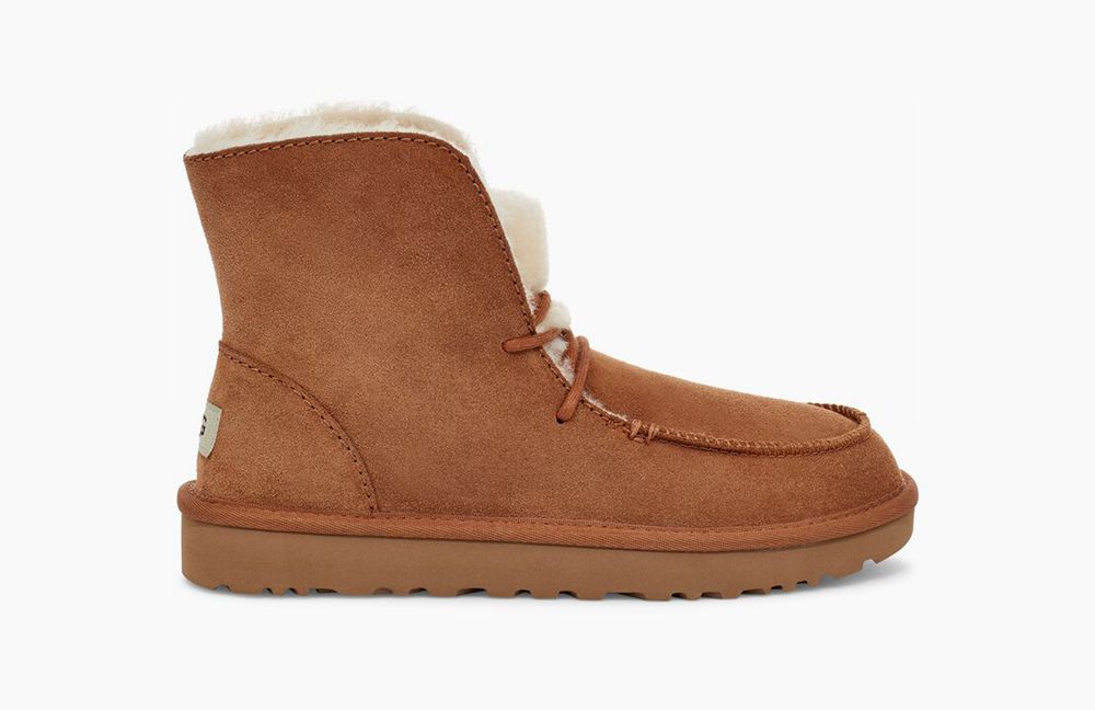 Ugg Diara - Womens Chukka Boots - Brown - NZ (2784MCQBG)